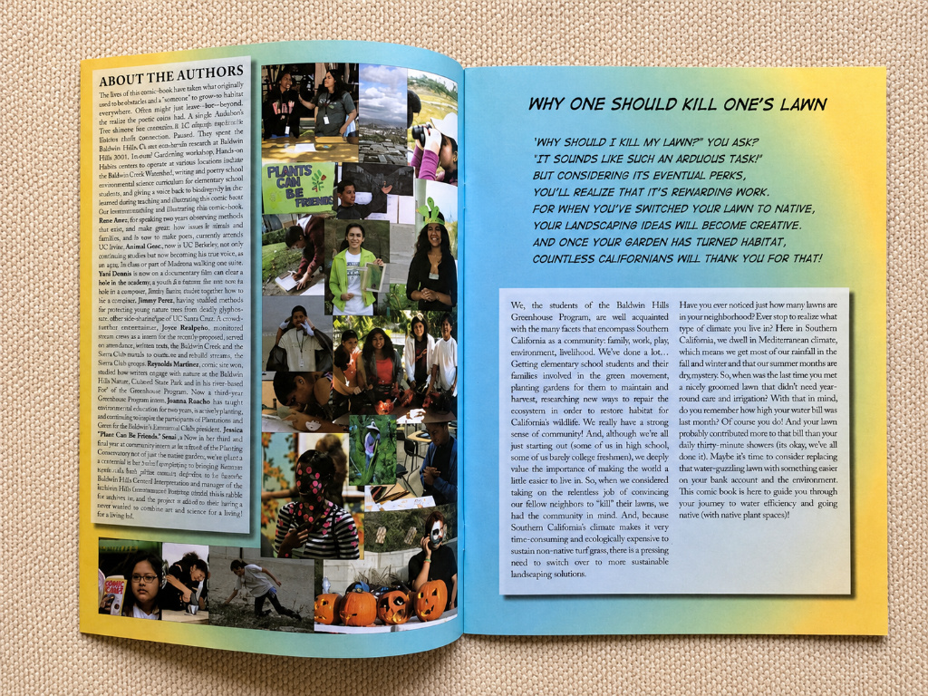 Kill Your Lawn brochure
